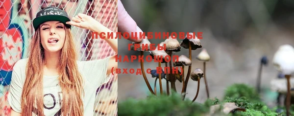 гидра Армянск