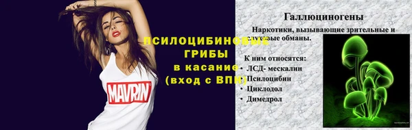гидра Армянск