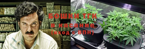 гидра Армянск