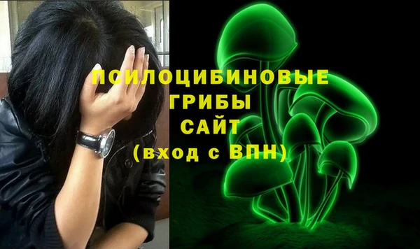 тгк Арсеньев