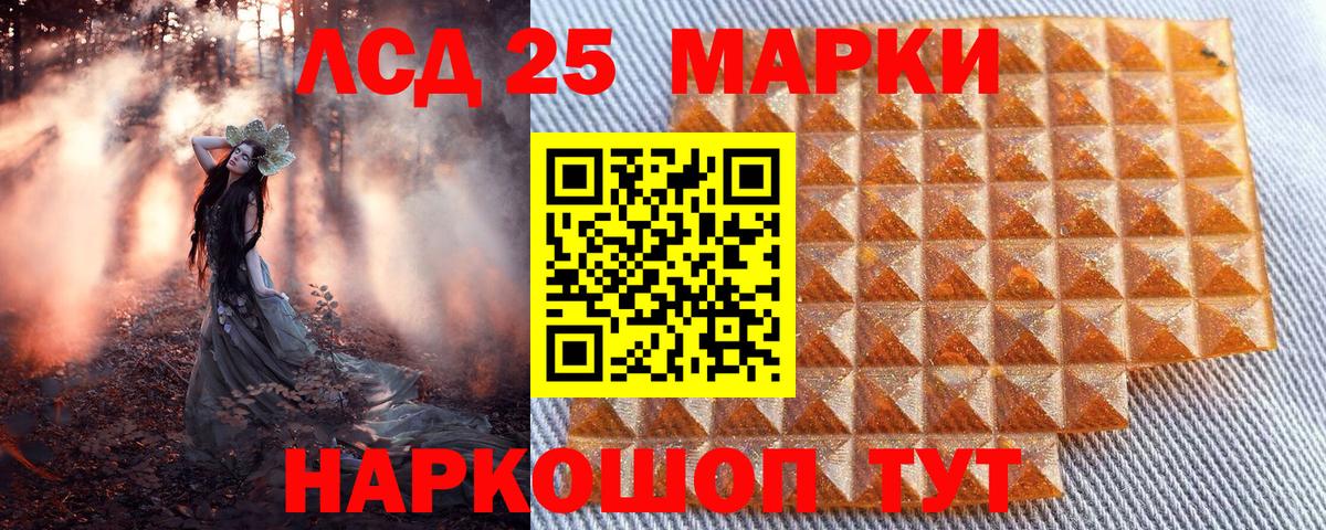 Наркотические марки 1500мкг  Наркотические марки 1500мкг  Вход с VPN  Ахтубинск 