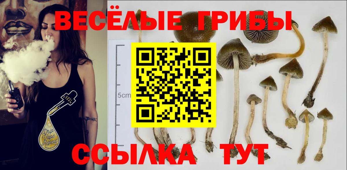 Галлюциногенные грибы Magic Shrooms Ахтубинск