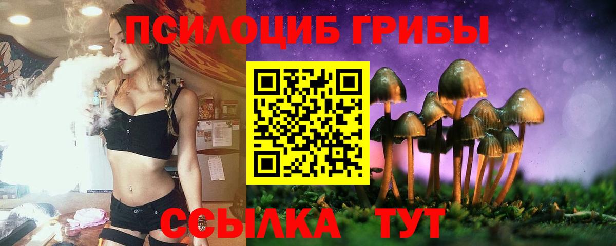 Галлюциногенные грибы Cubensis  Вход с VPN  Ахтубинск 