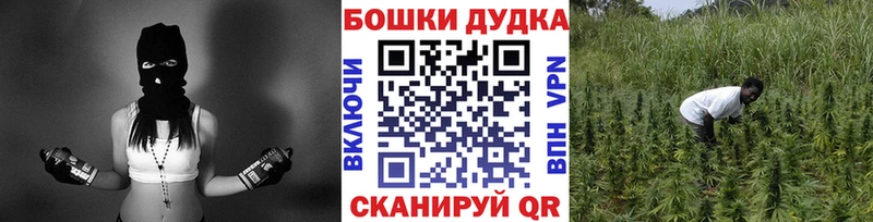 МАРИХУАНА семена  Ахтубинск 